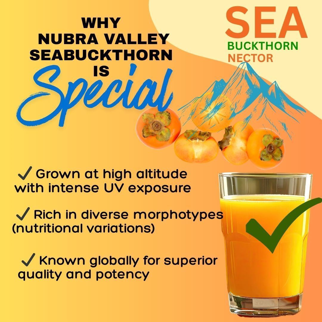 GoYNG Seabuckthorn Nector