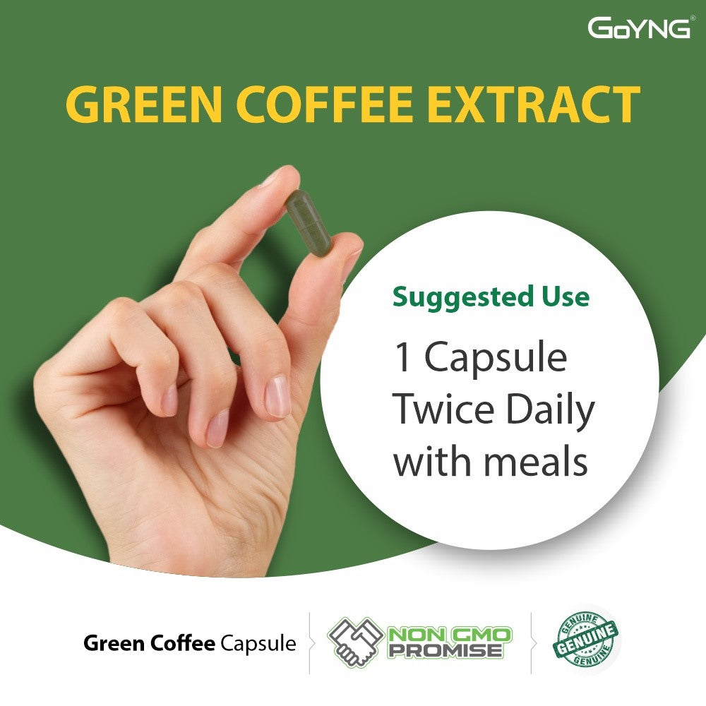 GoYNG Green Coffee Extract (Weight Loss, Fat Burn, Appetite Suppressant & Boosts Metabolism) 50% CGA 60 Veg Capsules