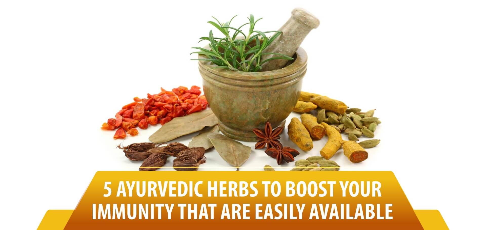 5 Ayurvedic herbs to boost your immunity that are easily available