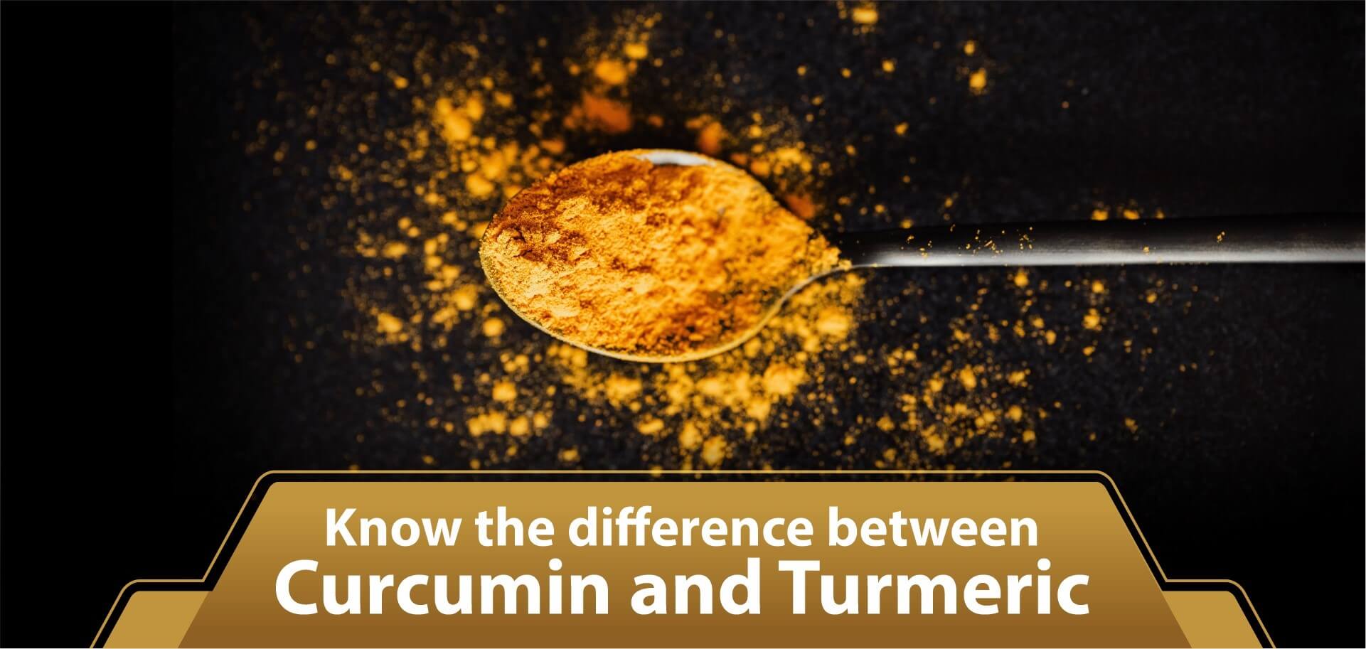Know the difference between Curcumin and Turmeric