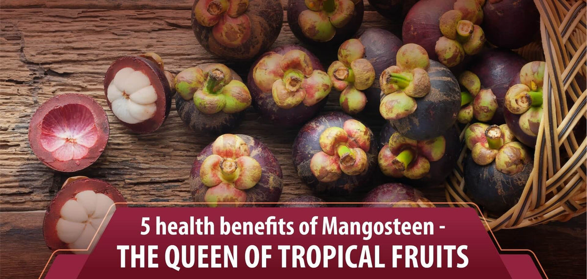 5 health benefits of Mangosteen - The  Queen of tropical fruits
