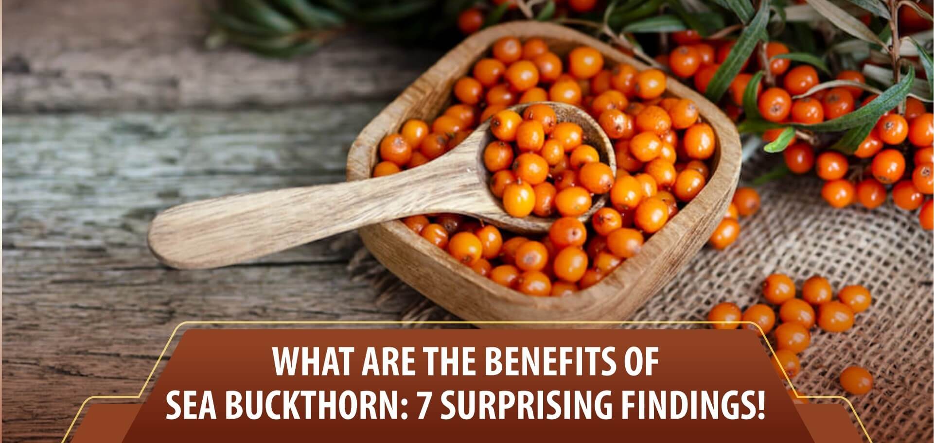 What are the benefits of Sea buckthorn: 7 Surprising findings!