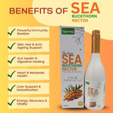 GoYNG Seabuckthorn Nector