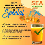GoYNG Seabuckthorn Nector