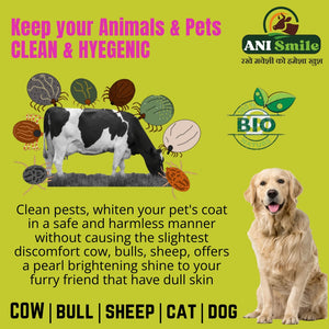 Anismile Bioactive cleaner for cattle and pet animal