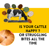 Anismile Bioactive cleaner for cattle and pet animal