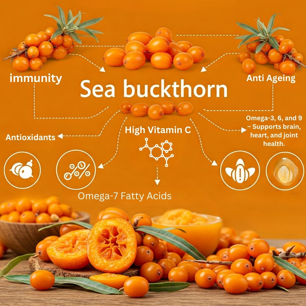 Seabuckthorn fruit Antioxidant for Anti-aging, heart health, skin