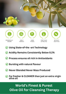 Olivko The Finest Extra Virgin Olive Oil