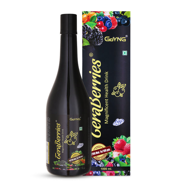 TeraBerries with 16 berries Antioxidant power Syrup 1 ltr