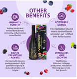 TeraBerries with 16 berries Antioxidant power Syrup 1 ltr