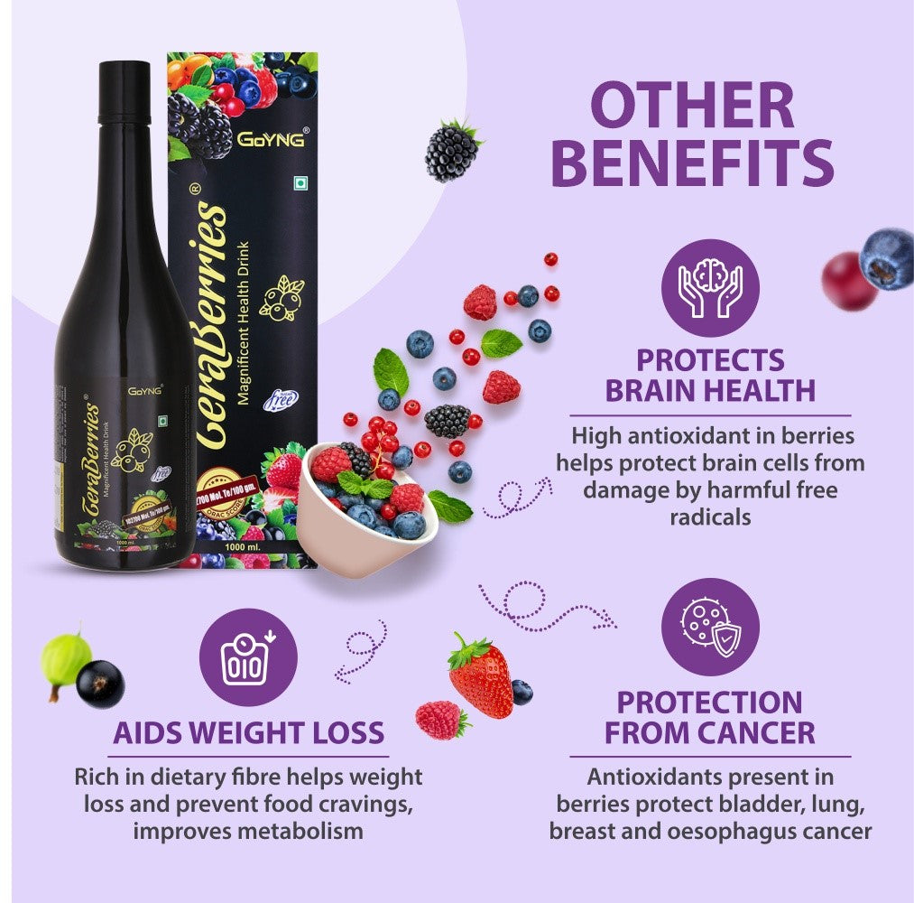 TeraBerries with 16 berries Antioxidant power Syrup 1 ltr